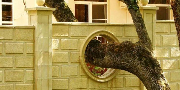 Život v souladu s přírodou! Proč své okolí ničit, když ho můžete využít?