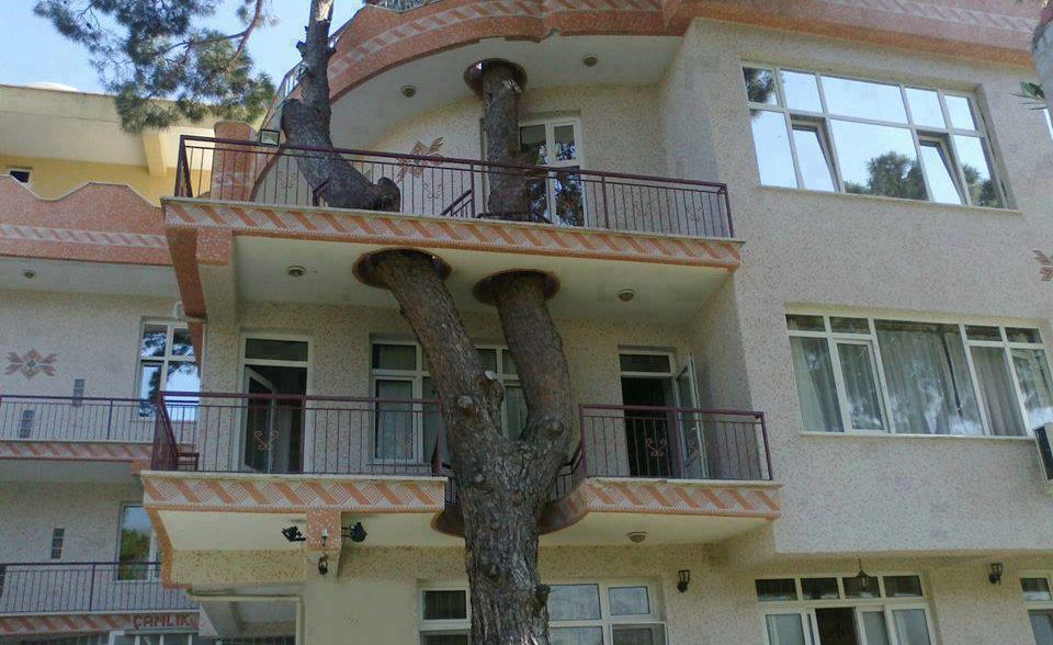 Život v souladu s přírodou! Proč své okolí ničit, když ho můžete využít?