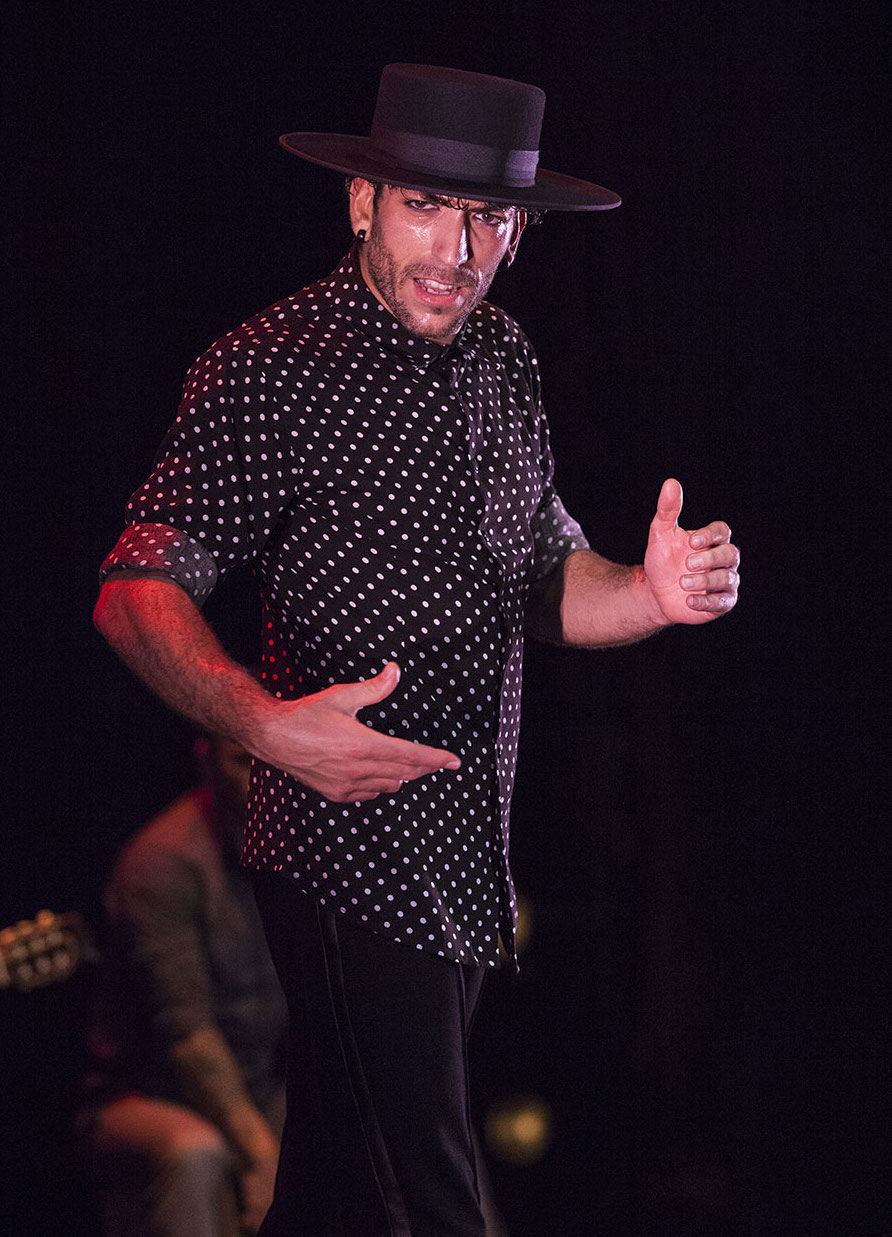 Hvězdná show už se blíží: Rytmy Flamenca vás chytnou za srdce!