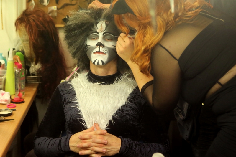 Starý kocour přišel podpořit šéfa myší