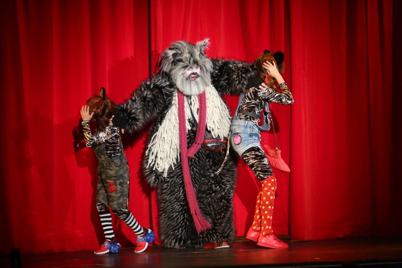 Starý kocour přišel podpořit šéfa myší