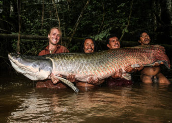 Obchodní centrum ŠESTKA přináší sérii  vánočních přednášek Jakuba Vágnera  nejen pro děti