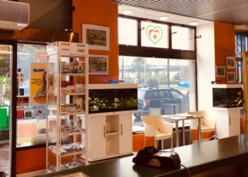 Chřipka přichází nečekaně: Jak se bránit, jaká prevence je nejvhodnější?