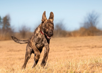 (V)OŘECH FEST 2023: Přijďte podpořit dobrou věc